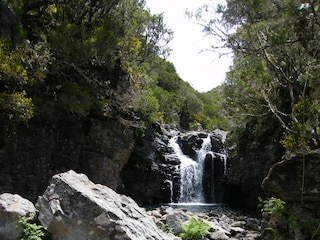 Casa per le vacanze Fajã da Ovelha Ambiente 35