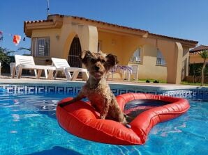 Finca Per la tua vacanza in Spagna con il cane a Riumar.