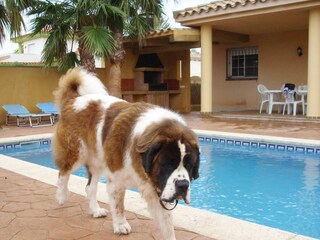 Finca Riumar Buitenaudio-opname 7