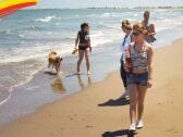 Der Hundestrand im Ferienort Riumar