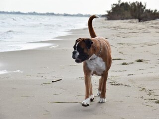 Finca Riumar Omgeving 39