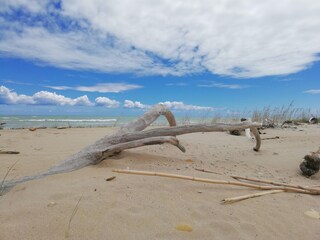 Ferienhaus Acquaviva Picena Umgebung 40