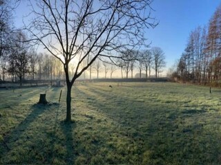 Apartment Lievelde Environment 33