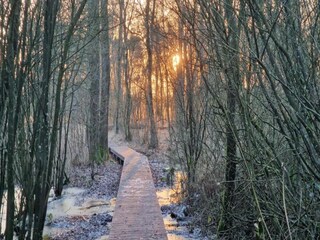 Apartment Lievelde Environment 34