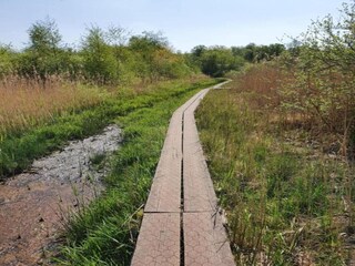 Appartamento Lievelde Ambiente 37