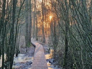 Appartement Lievelde Omgeving 32