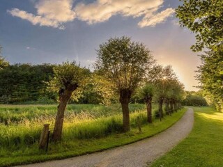 Apartment Lievelde Umgebung 31