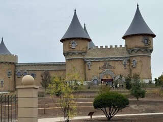 Apartment Lievelde Umgebung 26