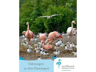 Appartamento Lievelde Ambiente 28