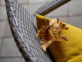 Appartamento Bludenz  29