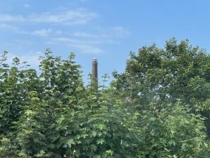 Ferienwohnung Stranddistel