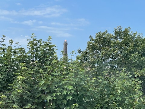 Ferienwohnung Stranddistel