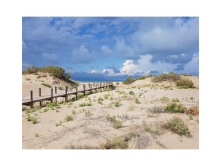 Villa Riumar Ambiente 40