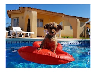 SpanienUrlaub mit Hund