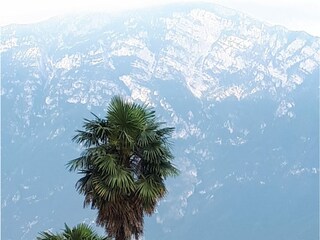 Vakantieappartement Tremosine sul Garda Buitenaudio-opname 14