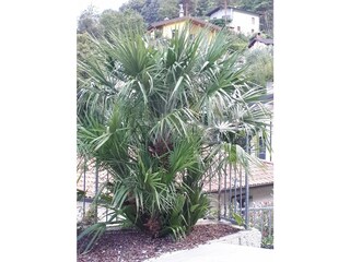 Vakantieappartement Tremosine sul Garda Omgeving 22