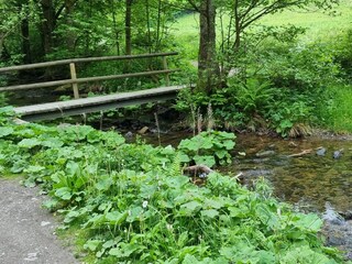 Casa per le vacanze Willingen Ambiente 17