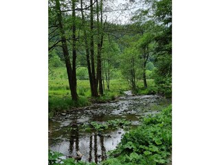 Casa per le vacanze Willingen Ambiente 19