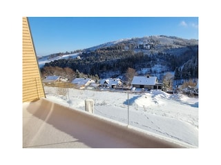 Ferienhaus Willingen Außenaufnahme 1