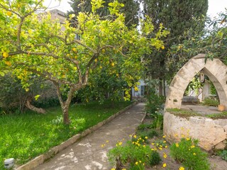 Casa per le vacanze Artà Registrazione all'aperto 10