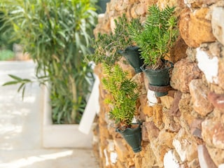 Finca Arenal d'en Castell Enregistrement extérieur 8