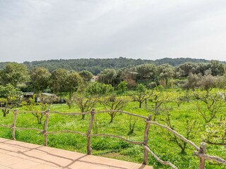 Finca Arenal d'en Castell Buitenaudio-opname 18