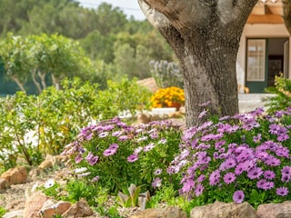 Finca Arenal d'en Castell Enregistrement extérieur 20