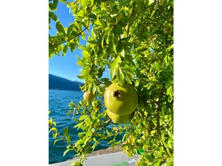 Casa per le vacanze Tignale Registrazione all'aperto 13