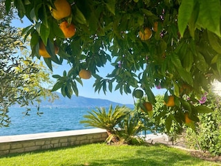 Casa per le vacanze Tignale Registrazione all'aperto 18