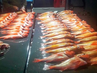 Vakantiehuis Welt  15