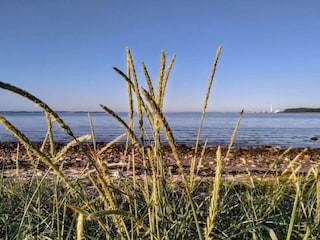 Ferienhaus Rønde  20