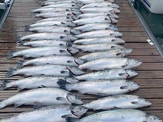 Holiday house Welt  18