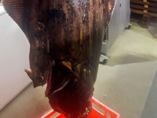 Holiday house Welt  10