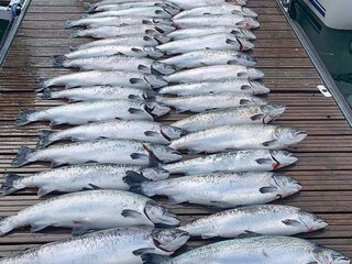 Vakantiehuis Welt  28