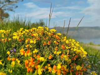 Vakantiehuis Welt  19