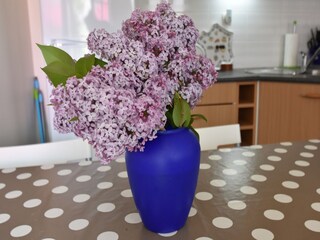 Casa vacanze Langrune-sur-Mer  21