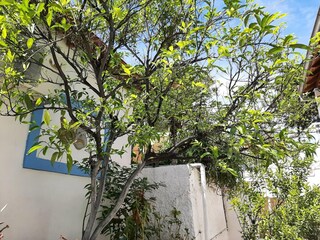 Apartamento Benitses Grabación al aire libre 14