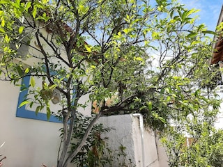 Apartment Benitses Outdoor Recording 8