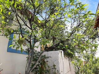 Apartamento Benitses Grabación al aire libre 9