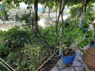 Apartamento Benitses Grabación al aire libre 10
