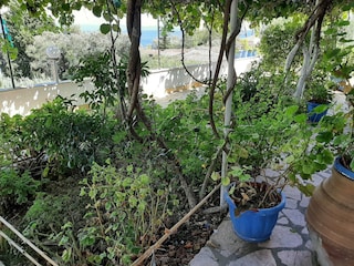 Apartment Benitses Outdoor Recording 11