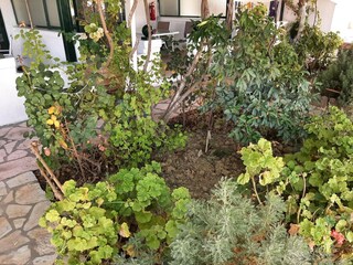 Appartement Benitses Buitenaudio-opname 14
