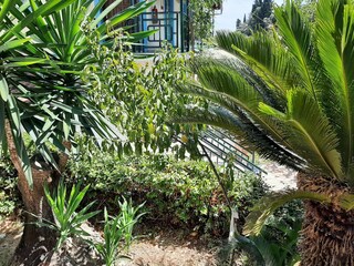 Appartement Benitses Buitenaudio-opname 11