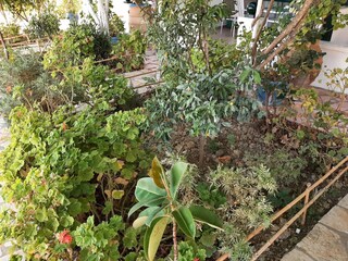 Apartamento Benitses  33