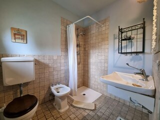 Holiday house Forcoli Features 15