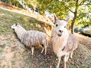 Casa de vacaciones Forcoli Grabación al aire libre 4