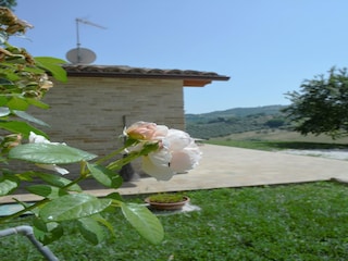 Ferienhaus Cartoceto  31