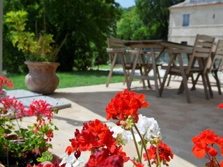 Vakantiehuis Cartoceto  32