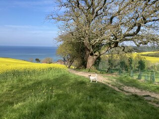 Vakantiehuis Varengeville-sur-Mer Omgeving 26