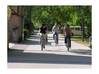 Wir liegen direkt am Moselradweg